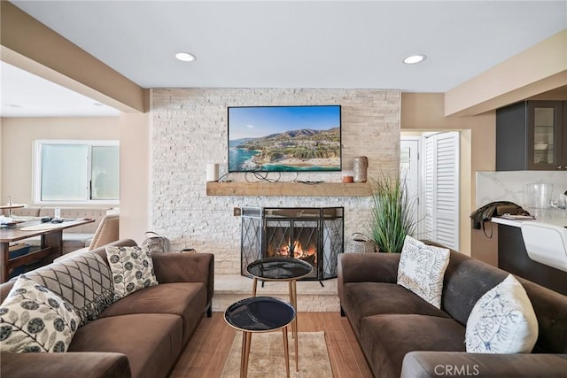 living room featuring a fireplace and wood-type flooring