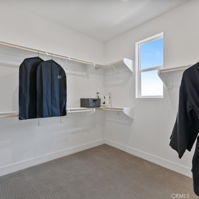 walk in closet featuring carpet floors