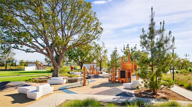 view of jungle gym