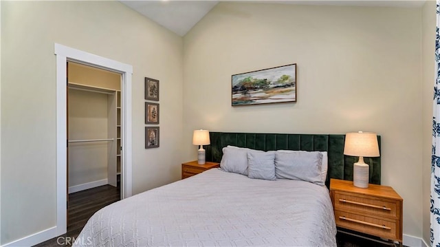 bedroom with a spacious closet and dark hardwood / wood-style floors