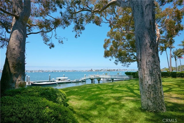 exterior space with a water view and a dock