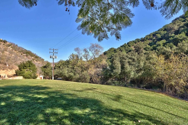 view of yard featuring a mountain view