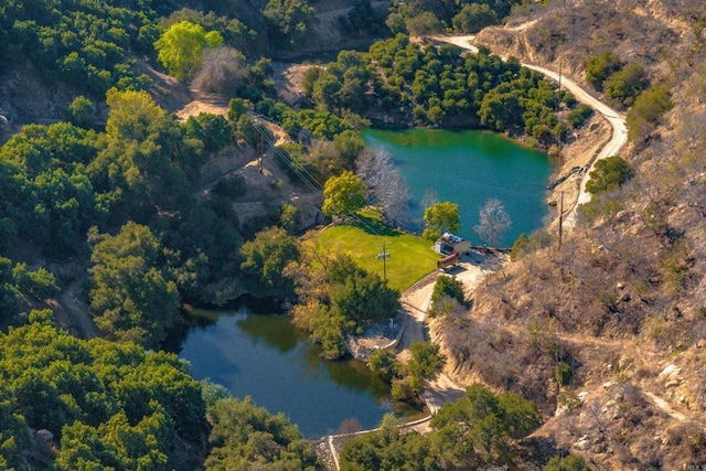 birds eye view of property with a water view and a view of trees