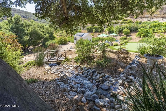 view of yard featuring a mountain view