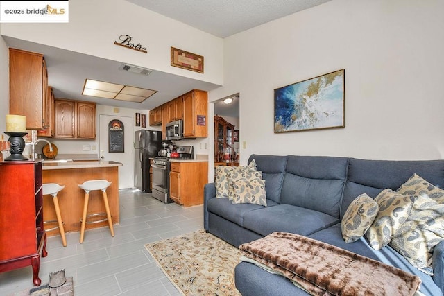 living room featuring sink