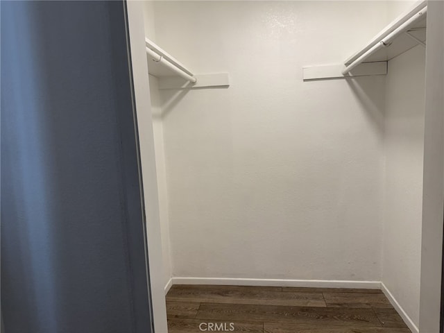 walk in closet with wood finished floors