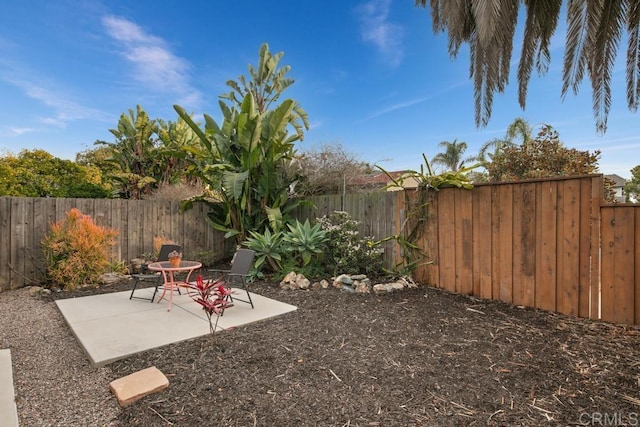 view of yard with a fenced backyard and a patio