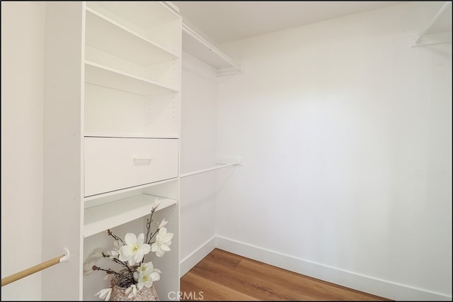 spacious closet featuring wood-type flooring