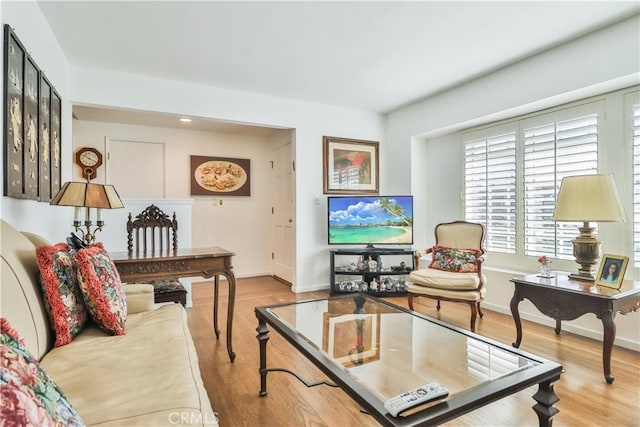 living room featuring light hardwood / wood-style flooring