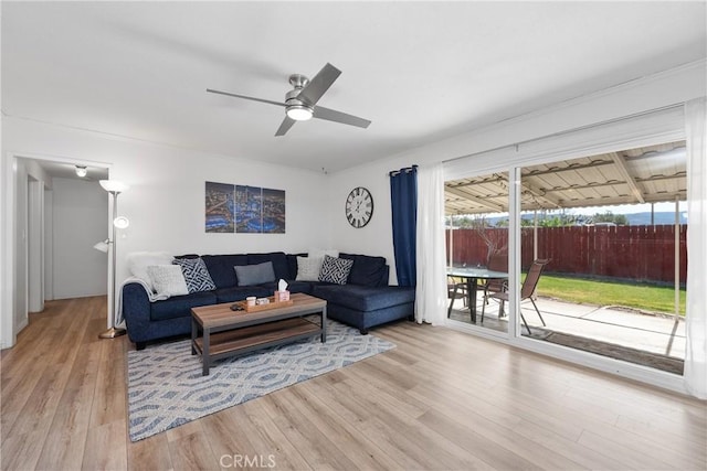 living room with ceiling fan and light hardwood / wood-style floors