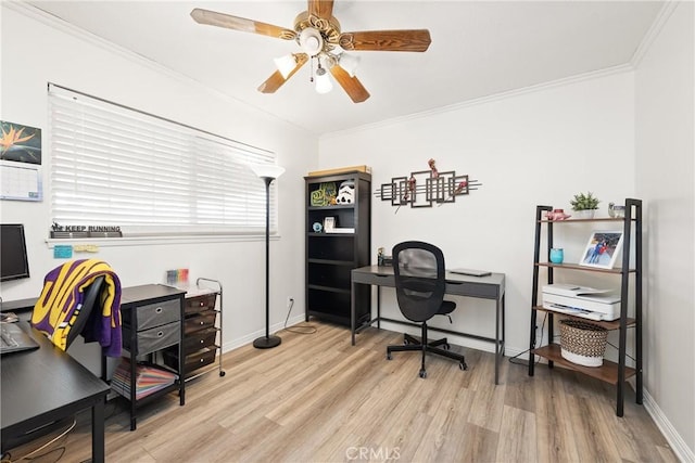 home office with crown molding, ceiling fan, and light wood-type flooring