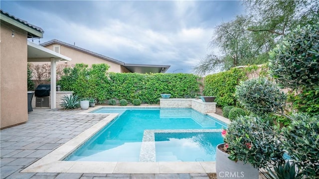 view of pool with a patio area