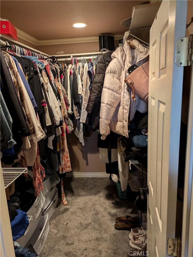 walk in closet with carpet floors