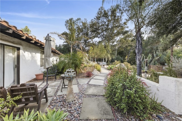 view of yard with a patio area