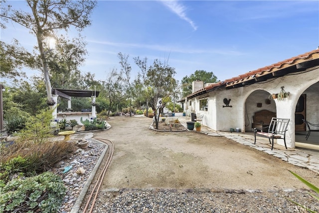 view of yard featuring a patio area