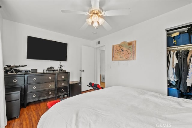 bedroom with a walk in closet, dark hardwood / wood-style floors, ceiling fan, and a closet