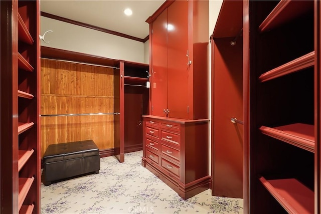spacious closet featuring light colored carpet