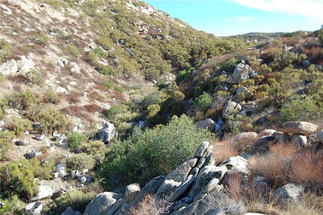 0 Wilson Valley Rd, Aguanga, CA 92536