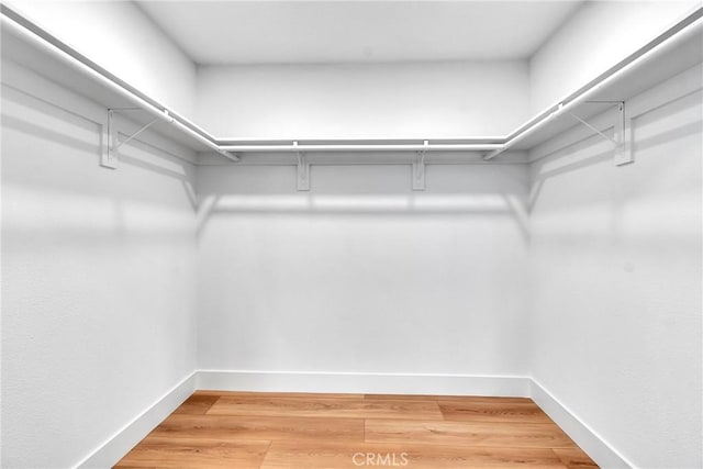 walk in closet featuring hardwood / wood-style flooring