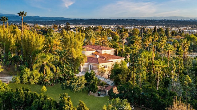 birds eye view of property featuring a mountain view