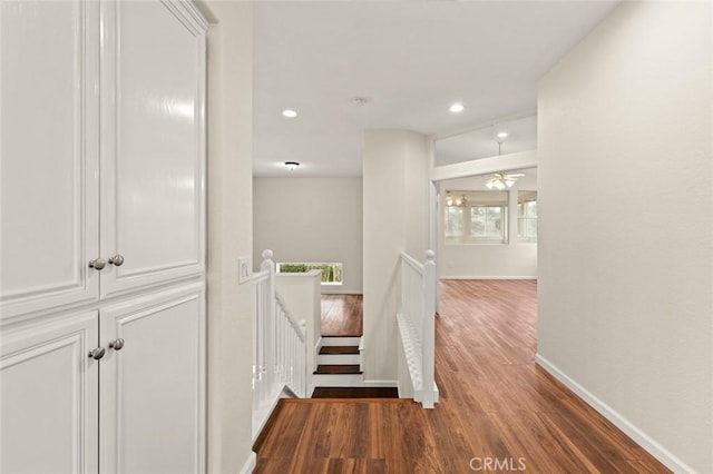 corridor featuring dark wood-type flooring