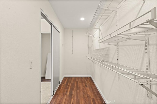 walk in closet featuring dark hardwood / wood-style flooring