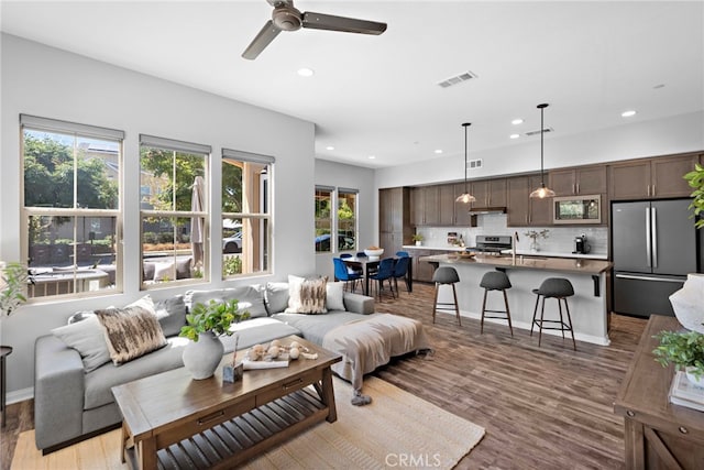 living room featuring ceiling fan and wood-type flooring