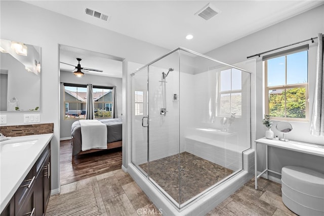 bathroom with plenty of natural light, an enclosed shower, and vanity