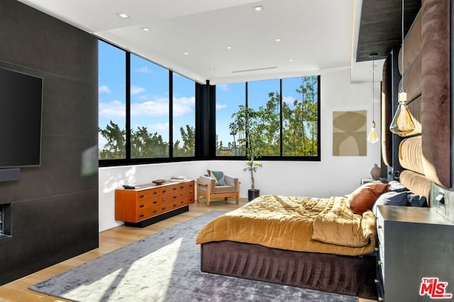 bedroom with light hardwood / wood-style flooring