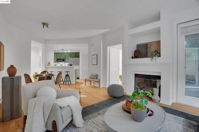 living room featuring wood-type flooring