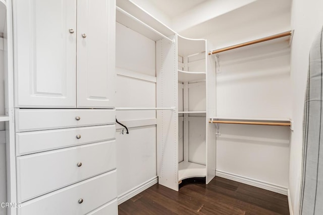 walk in closet featuring dark wood-type flooring