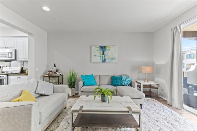 living room with light wood-type flooring