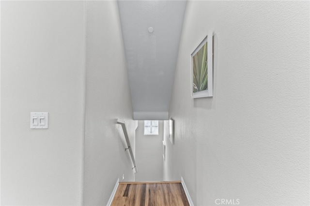 stairway featuring wood-type flooring