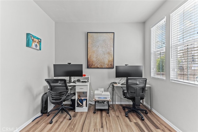 office space featuring a healthy amount of sunlight and light hardwood / wood-style flooring