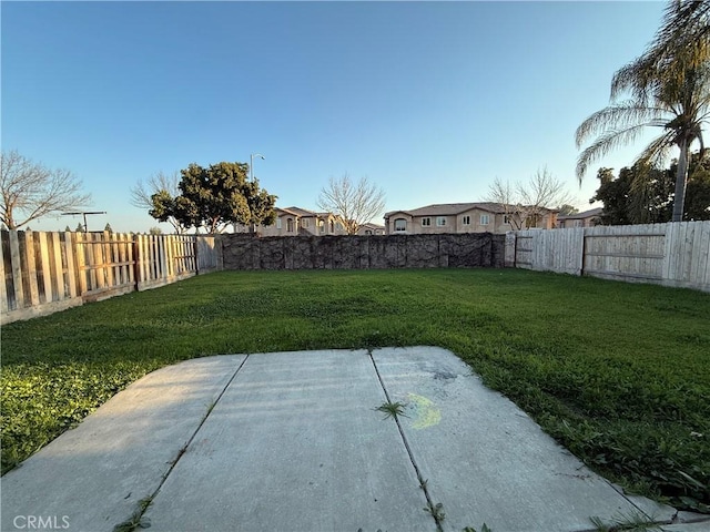 view of yard featuring a patio area