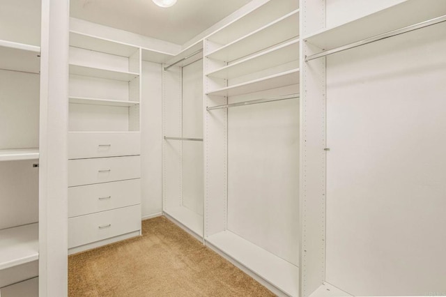 walk in closet with light colored carpet