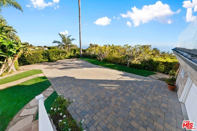 view of home's community featuring a yard and a patio