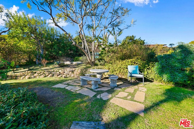 view of yard with a patio