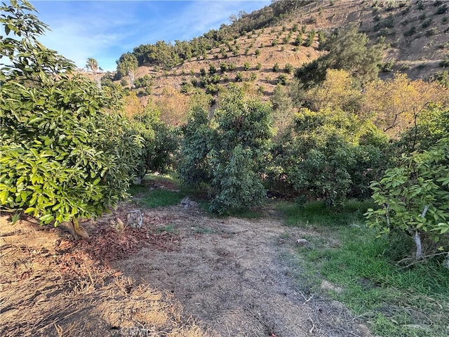 0 Calle Jardin, Temecula, CA 92590
