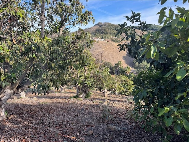0 Calle Jardin, Temecula, CA 92590