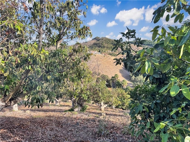 0 Calle Jardin, Temecula, CA 92590