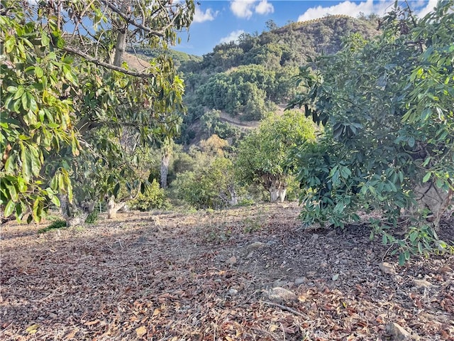 0 Calle Jardin, Temecula, CA 92590