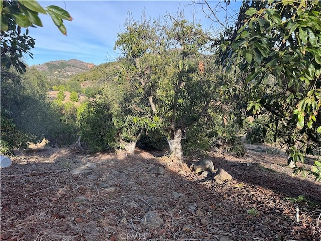 0 Calle Jardin, Temecula, CA 92590