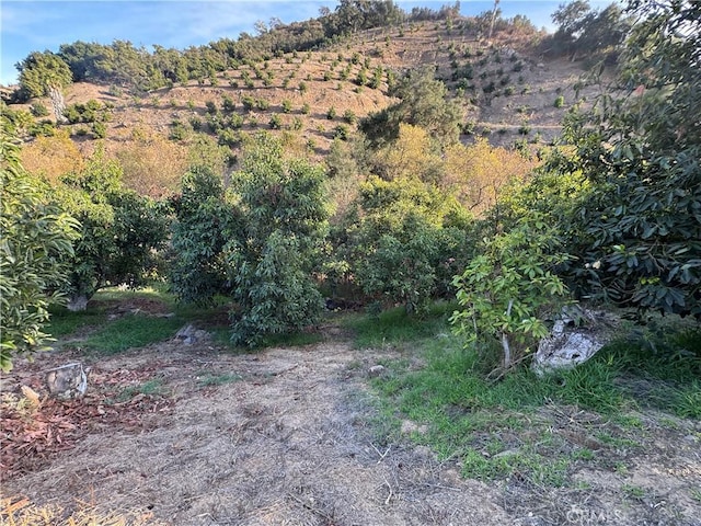 0 Calle Jardin, Temecula, CA 92590