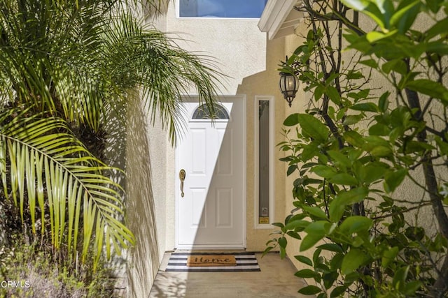 view of exterior entry featuring stucco siding