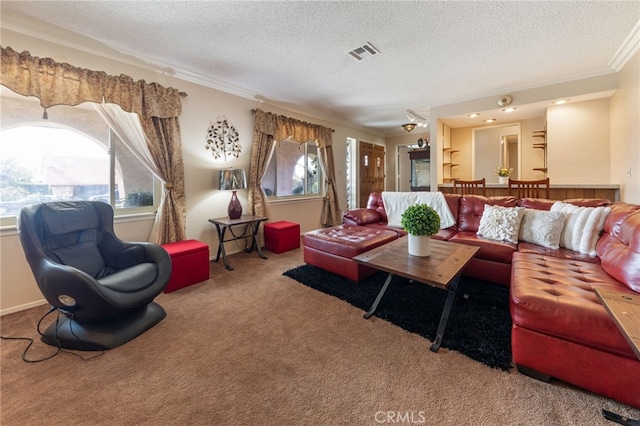 living room featuring crown molding, carpet flooring, and a textured ceiling