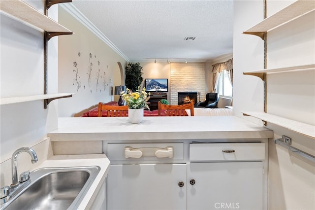 kitchen with white cabinetry, crown molding, sink, and a textured ceiling