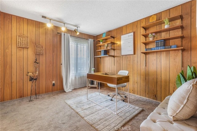 carpeted home office featuring track lighting, wood walls, and a textured ceiling