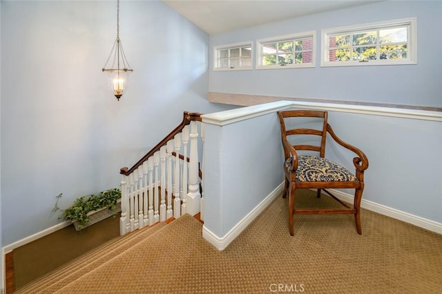 stairway with carpet flooring