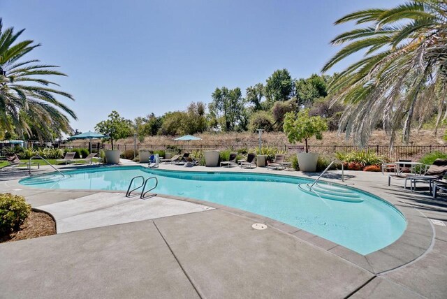 view of pool featuring a patio